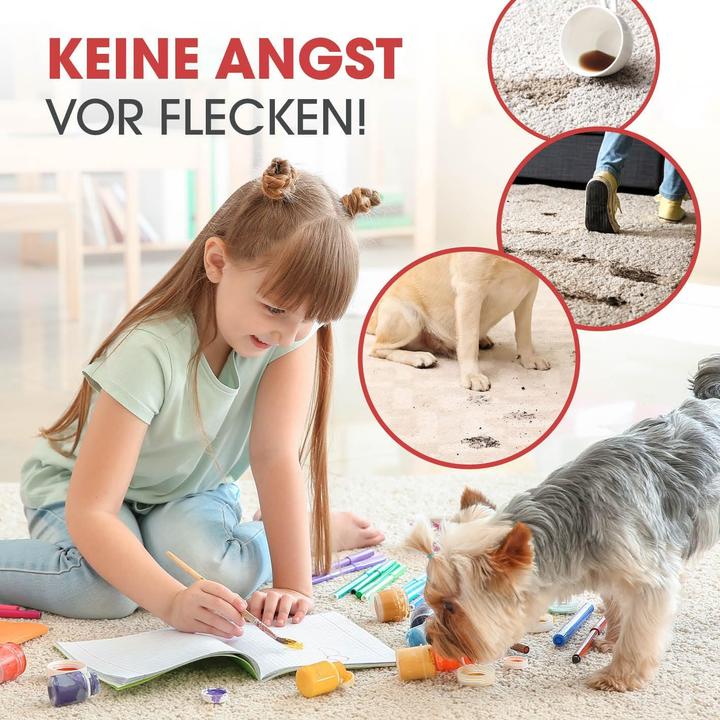 Produktbild CleanMaxx Teppichreiniger Pro