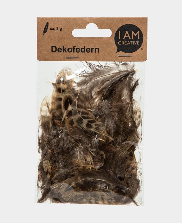 Actual product image I Am Creative Decorative feathers, natural feathers