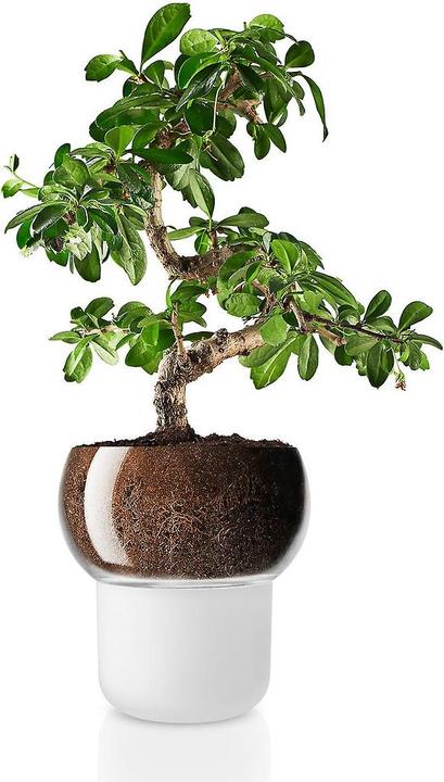 Produktbild Eva Solo Orchideentopf (15 x 17 cm)