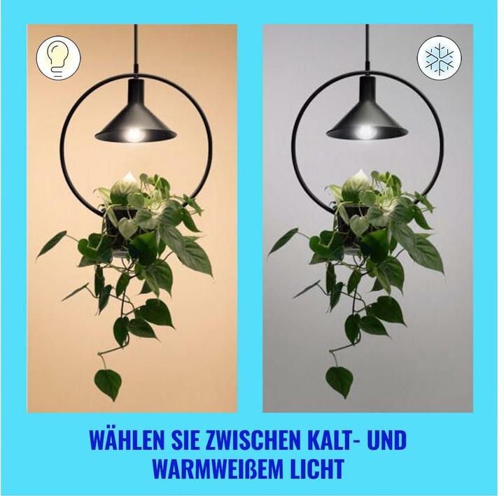 Actual product image WiZ Filament lamp (E27, 903 lm, 1x)