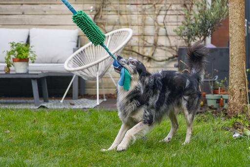 Produktbild Beeztees Ente (Ballspielzeug Hund)