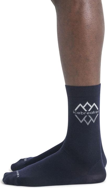 Produktbild Icebreaker Merino Lifestyle Fine Gauge Crew IB Logo (L/XL)