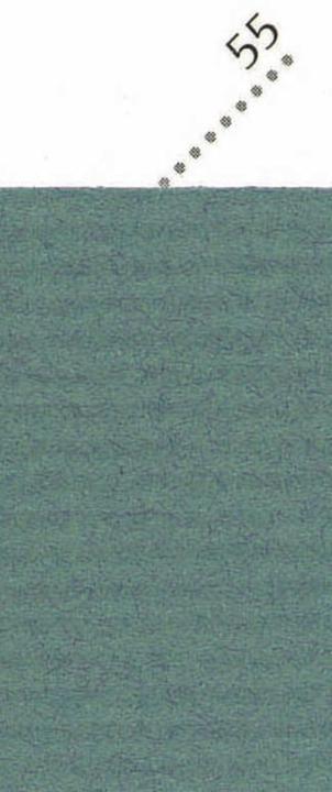 Actual product image Clairefontaine Wrapping paper (Wrapping paper, 1 x)
