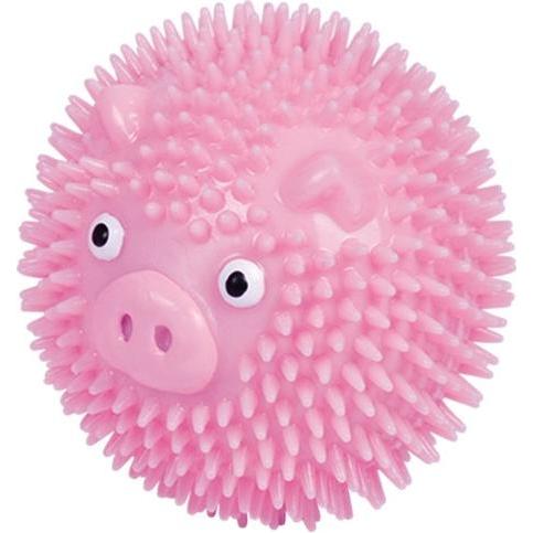 Nobby TPR Noppen Ball Pig (Bälle), Hundespielzeug