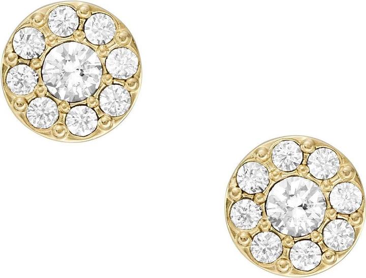 Actual product image Fossil Jewelry Stud Earrings (Stainless steel)