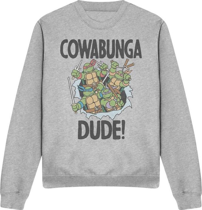 Produktbild Teenage Mutant NT Cowabunga Dude Sweatshirt (S)