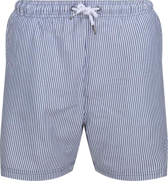 Actual product image Regatta Mens Loras Stripe Swim Shorts (XL)