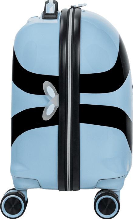 Actual product image Swissbags S (36 l)