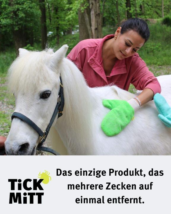 Immagine prodotto Tick Mitt Guanto antizecche (Cane)