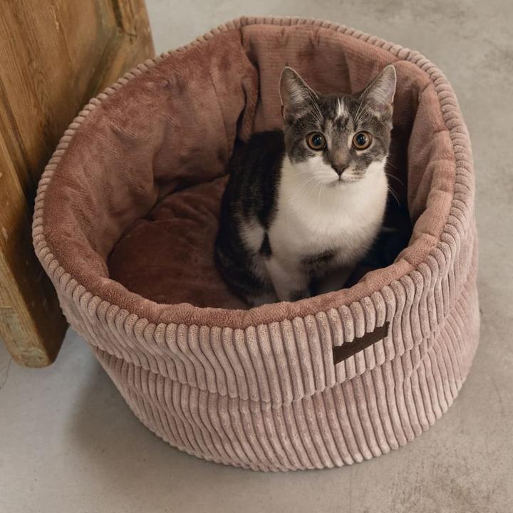 Actual product image Designed by Lotte Katzen Korb Ribbed (Cat)