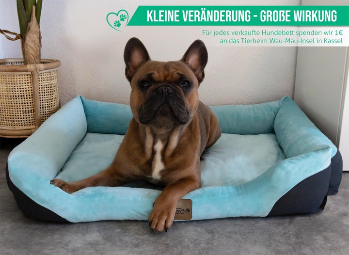 Actual product image Aspero Dog Bed Hanko (Dog)