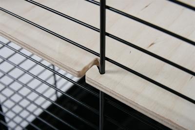 Actual product image Zolux Neo Muki