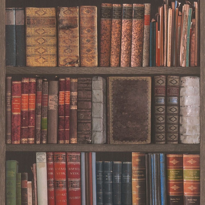 Rasch Strukturtapete Bücher (53 x 1000 cm)