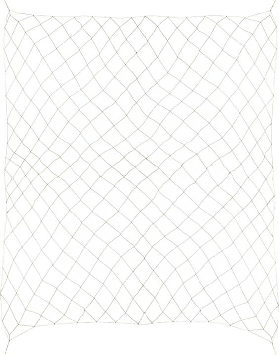 Actual product image Relaxdays Trellis net (10 cm, 400 cm)