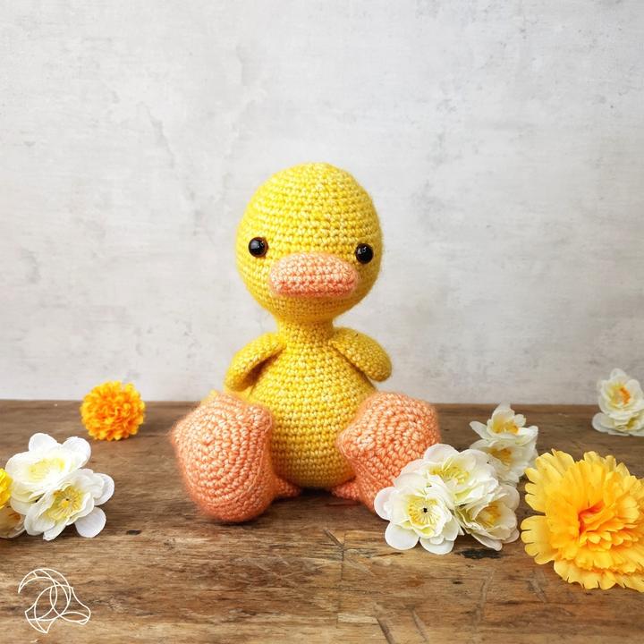 Immagine prodotto Hardicraft Häckelset Ente Abby, ca. 25 cm, Garn, Sicherheitsaugen, Füllwatte, Anleitung