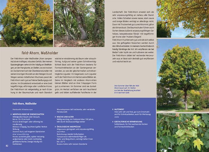 Produktbild Mein Gartenbaum - klimarobust und klimaschützend (Deutsch, Brunhilde Bross-Burkhardt, 2023)