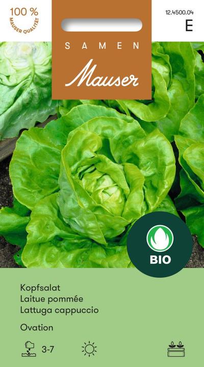 Produktbild Samen Mauser Knospe Bio Kopfsalat Ovation (Gemüsesamen)