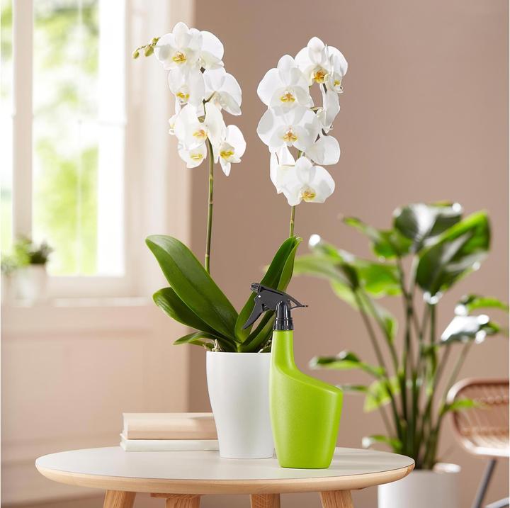 Produktbild Scheurich Smilla (0.70 l)