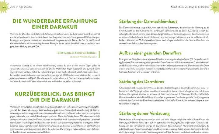 Produktbild Immunpower (Deutsch, Friederike Feil, 2021)