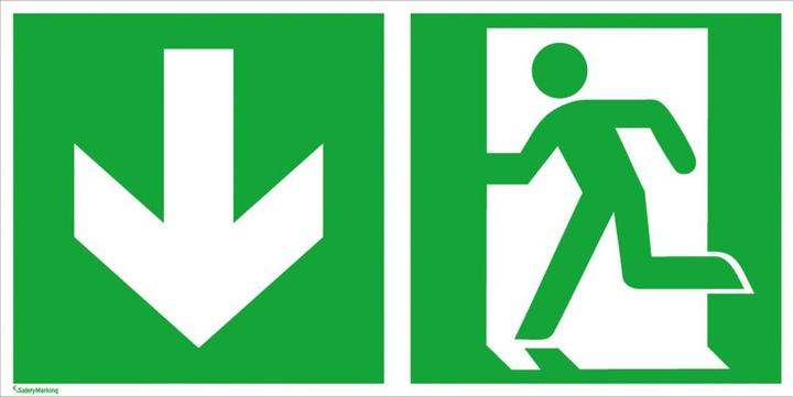 Actual product image BRW Escape sign Emergency exit downward