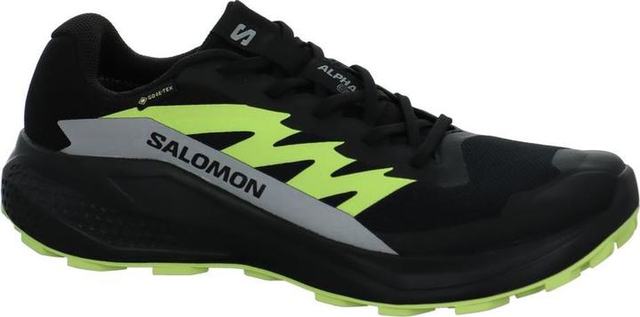 Produktbild Salomon Alphaglide GTX (46)