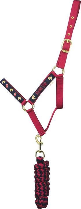 Hy Equestrian Pferdehalfter und Führstrick Set Riding Star Collection