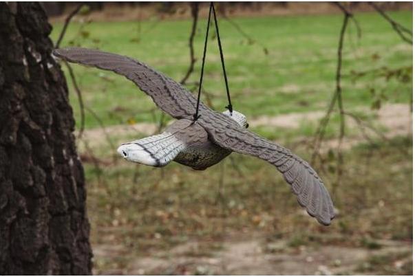 Actual product image Bradas Bird repellent