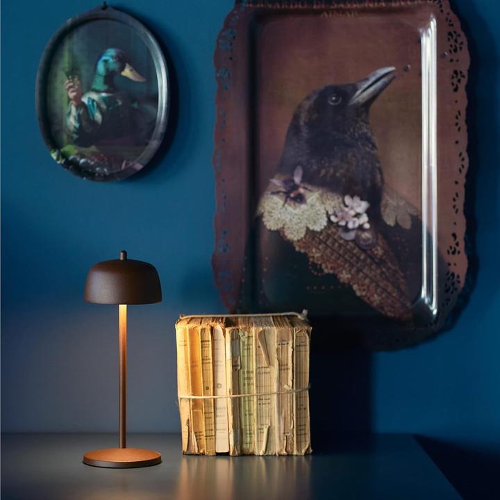 Image du produit Zafferano Theta