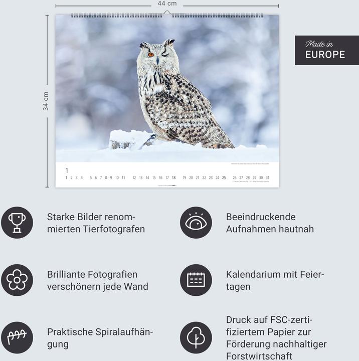 Produktbild Eulen Kalender 2026 (44 x 34 cm)