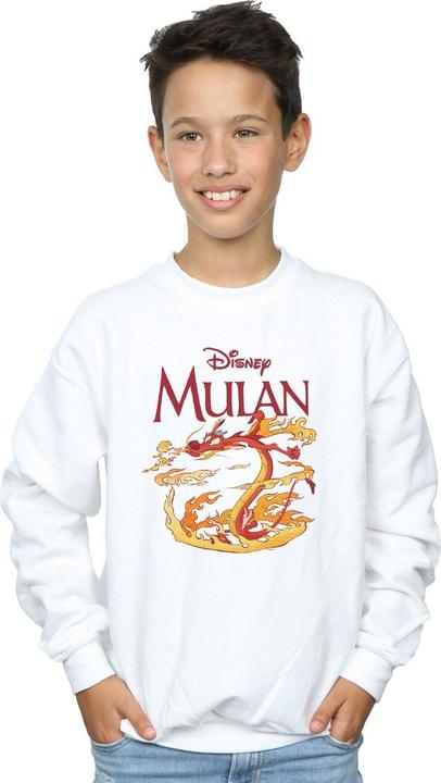 Actual product image Disney Boys Mulan Mushu Dragon Fire Sweatshirt (140, 146)
