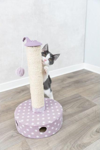 Produktbild Trixie Junior (44 cm, Violett)