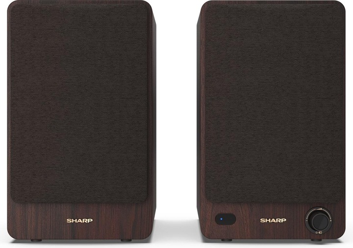 Actual product image Sharp CP-SS30 (1 pair, 60 W)