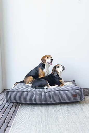 Immagine prodotto Designed by Lotte Cuscino a coste (Cane)