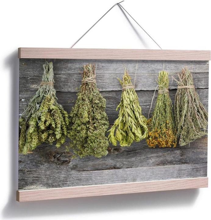 Immagine prodotto Trenddeko Erbe essiccate (60 x 50 cm)