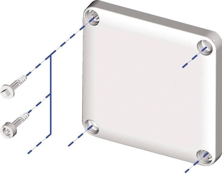 Actual product image Schneider Electric Plastic screws for THALASSA boxes NSYAEDS60TB