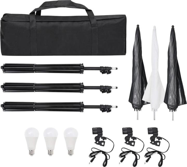 Immagine prodotto vidaXL Facchino (300 cm, 230 cm)