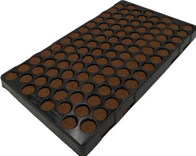 Produktbild Lime Plug Conical - Tray mit 104 Stk.