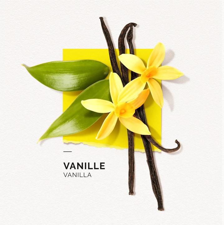 Actual product image Solinotes Paris Vanilla (Eau de parfum, 15 ml)