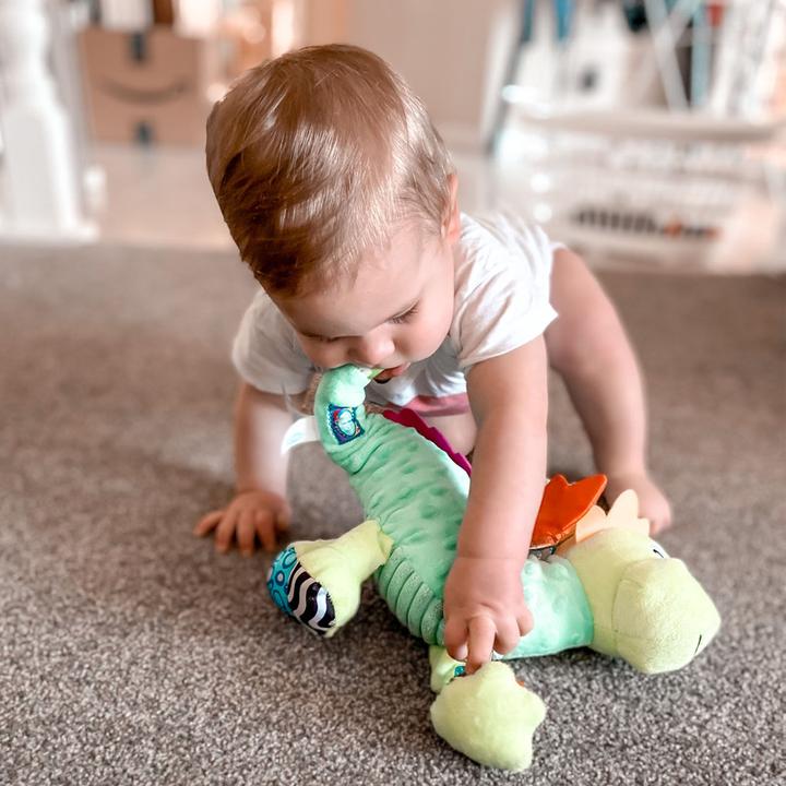 Productafbeelding Playgro Sensory Friend Dusty Dragon - (10188473)