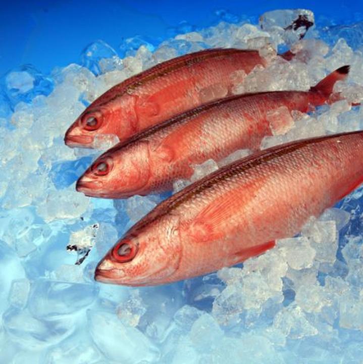 Image du produit Falcon Eyes Fond papier 80x100 cm avec dégradé 7 pcs. (80 cm, 100 cm)