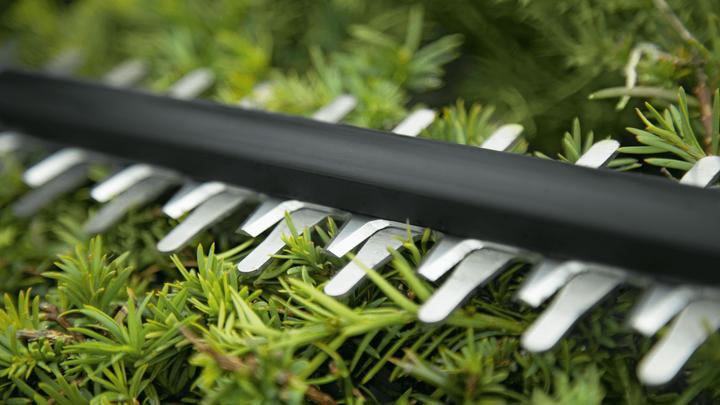 Actual product image Bosch Home & Garden UniversalHedgeCut 18-50 Kit (Rechargeable battery operated)