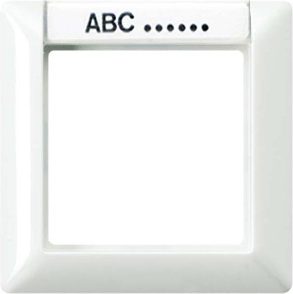 Actual product image JUNG Frame