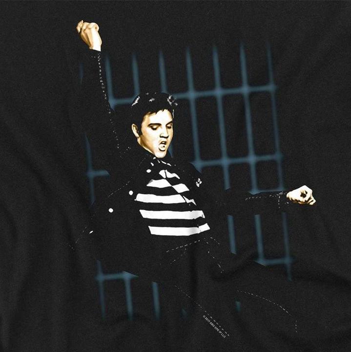 Produktbild Elvis Blue Bars TShirt Langärmlig (M)