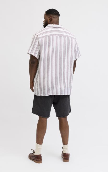 Immagine prodotto Jack & Jones Hemd Plus Size Hemd (4XL)