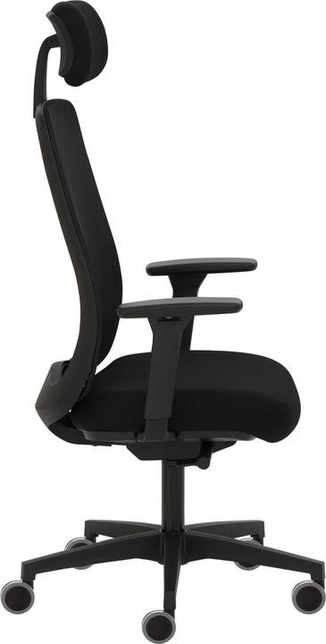 Produktbild Avita (48 - 59 cm)