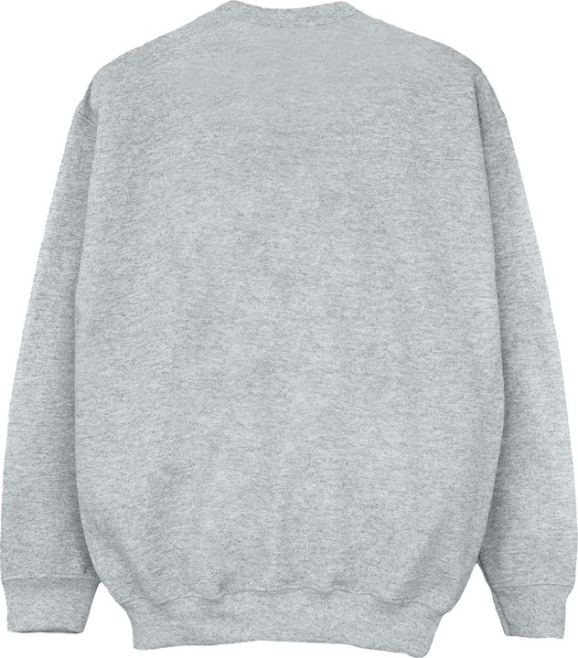 Actual product image Disney Womens/Ladies Lilo And Stitch Collegial Sweatshirt (L)