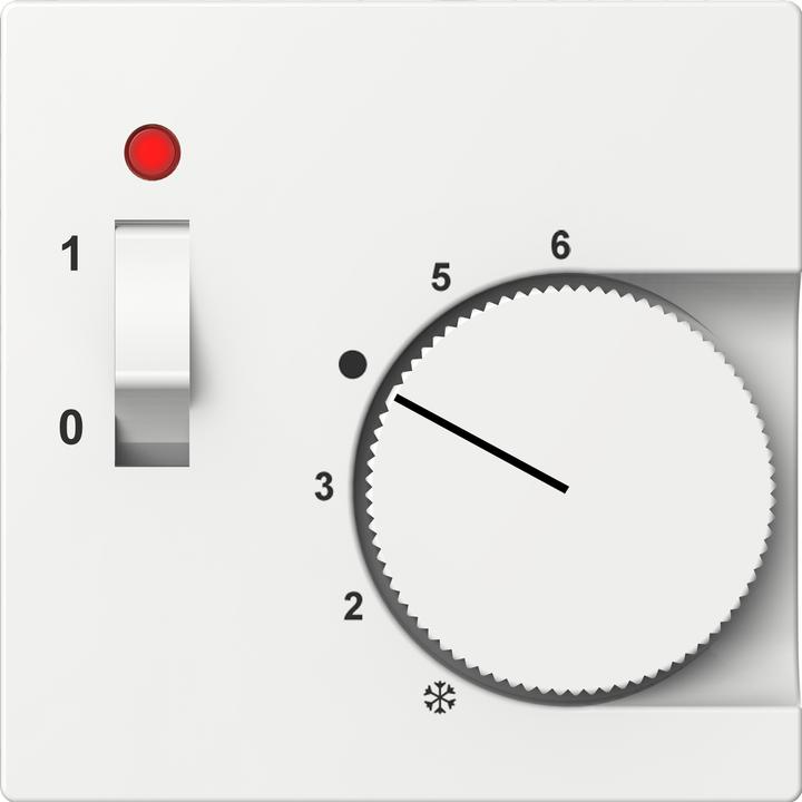 Actual product image ELSO Central plate