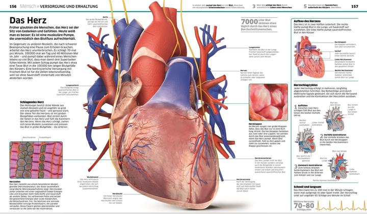 Image du produit DK Wissen (Allemand, Stephan Matthiesen, 2024)