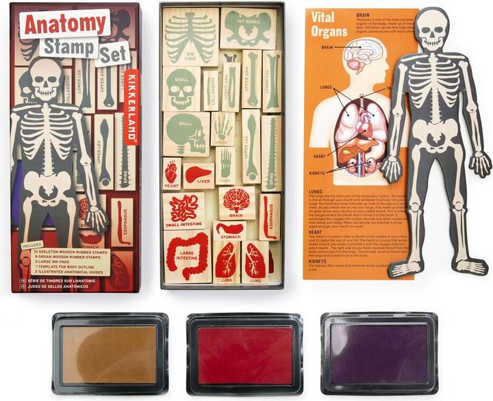 Kikkerland Tampons anatomiques