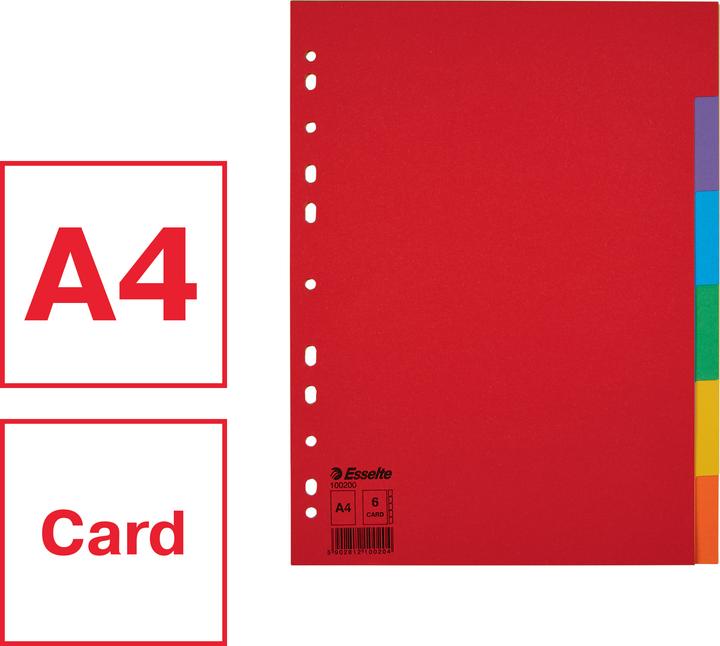 Actual product image Esselte Indice cardboard blank Economy